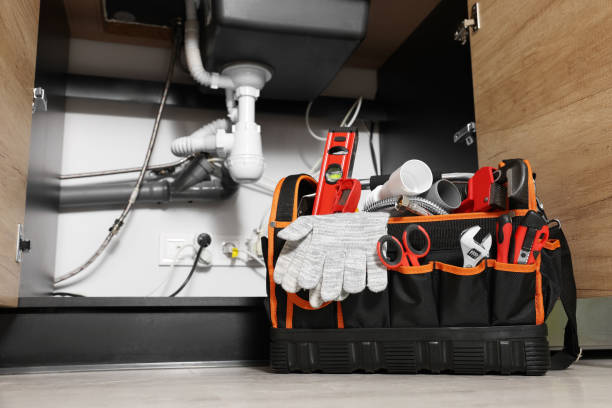 Best Emergency Plumber  in Zephyrhills, FL