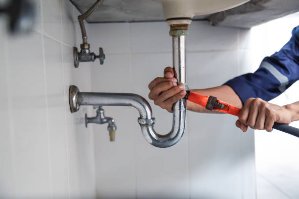 Best Drain Cleaning Services  in Zephyrhills, FL
