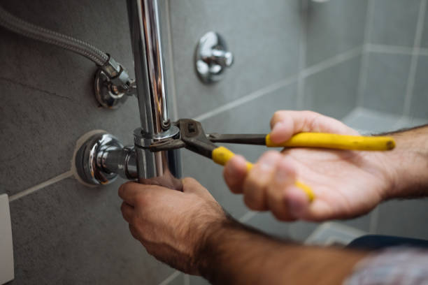 Best Residential Plumbing Services  in Zephyrhills, FL