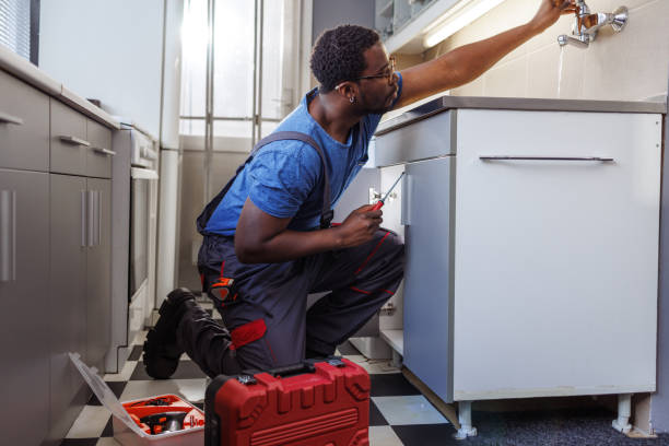 Best Plumbing Inspection Services  in Zephyrhills, FL